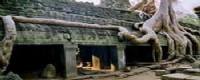 Travelers with Angkor stopover