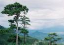 TOURISTS IN Ho Chi Minh City - Da Lat tour