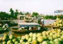 TOURISTS IN Saigon Phnom Penh upriver tour