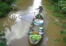 TOURISTS IN Wonders of the South