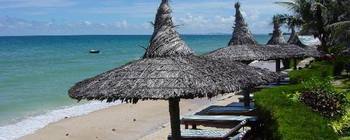 Tourists are enjoying Southern Golden Beaches - TL516
