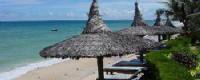TOURISTS IN Southern Golden Beaches - TL516