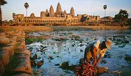Travelers with Cambodia stopover