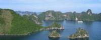 TOURISTS IN Halong Bay 1-day tour - TL101