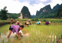 Travelers with Vietnam essential highlight tour