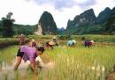 TOURISTS IN Vietnam essential highlight tour