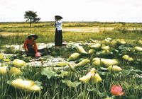 Travelers with Vietnam by train 12 days