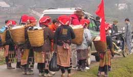 Travelers with Sapa mountain biking