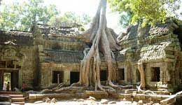Travelers with Glory of Cambodia