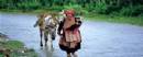 TOURISTS IN Special Vietnam Emotions - TL706
