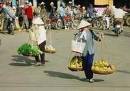 TOURISTS IN Vietnam emotion tour