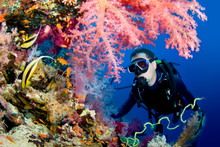 Travelers with Diving and snorkeling at Mun Island - Nha Trang