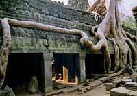 Travelers with Angkor stopover