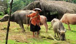 Travelers with Grand Vietnam-Cambodia tour