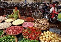 Travelers with Ho Chi Minh City stopover 4 day tour