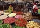 TOURISTS IN Ho Chi Minh City stopover 4 day tour