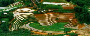 Tourists are enjoying Vietnam in Your Eyes - TL709