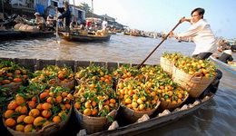 Travelers with Ho Chi Minh City - Mekong delta 2 day tour