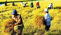 Travelers with Ho Chi Minh City - Da Lat tour