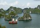 TOURISTS IN Halong Phoenix Cruiser