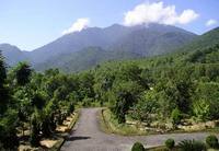 TOURISTS IN Hoi An - Bach Ma National Park Tour