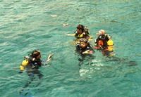 TOURISTS IN Cham Island Diving Tour