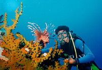 TOURISTS IN Scuba Diving in Cham Island Tour (for certified divers)