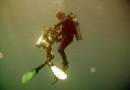 TOURISTS IN Scuba Diving in Cham Island Tour (for beginner)