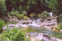 TOURISTS IN Yangbay waterfall tour