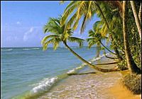 TOURISTS IN Phu Quoc Beaches