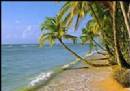 TOURISTS IN Phu Quoc Beaches