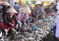 TOURISTS IN Duong Dong Town