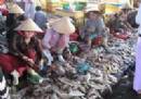 TOURISTS IN Duong Dong Town