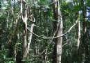 TOURISTS IN Phu Quoc National Park