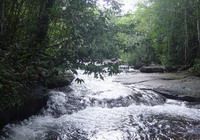 TOURISTS IN Suoi Tranh (Tranh Stream)