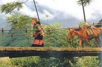 TOURISTS IN 2-day Sapa tours (Trekking, hill tribe homestay)