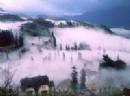 TOURISTS IN 3-day Sapa tours (Trekking and home stay)