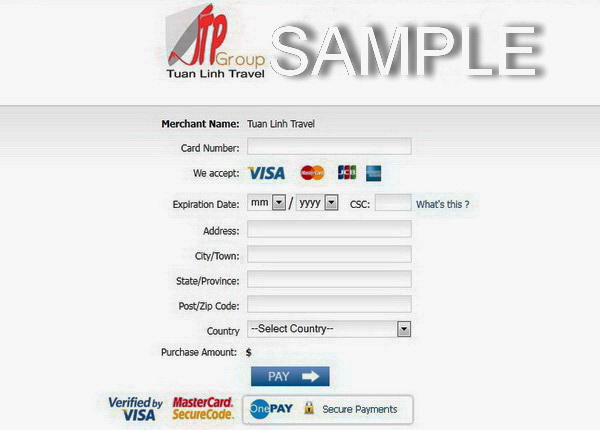 visa credit card security code. payment with credit card