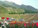 Ati-Sapa Rose Garden Resort  BOOKING