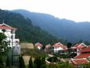 TAM DAO BELVEDERE RESORT  BOOKING