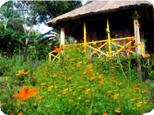 Bungalow room BOOKING