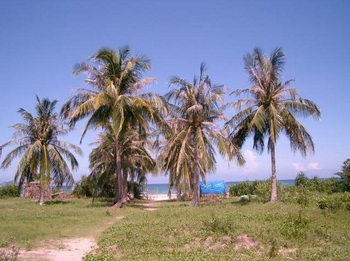 Beach Front BOOKING