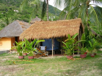 Bungalow room BOOKING