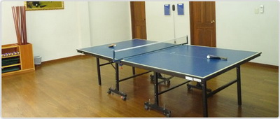 Table Tenis BOOKING