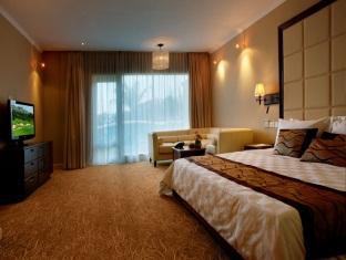 Suite room BOOKING